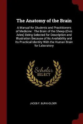 The Anatomy of the Brain: A Manual for Students and Practitioners of Medicine: The Brain of the Sheep (Ovis Aries) Being Selected for Description and Illustration Because of Its Availability and Its Practical Identity with the Human Brain for Laboratory