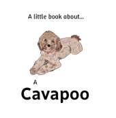 A little book about a Cavapoo