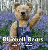 Bluebell Bears: A Counting Book