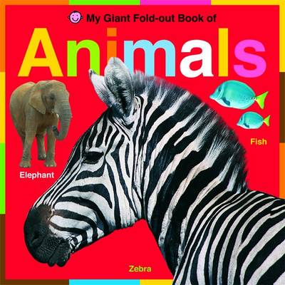 Animals: My Giant Fold out Book