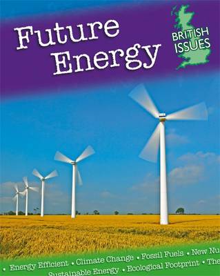 British Issues: Future Energy