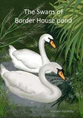 The Swans of Border House pond