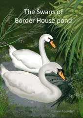 The Swans of Border House pond