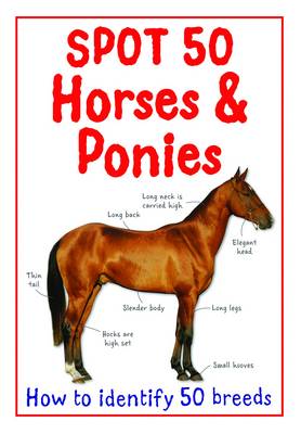 Spot 50 Horses and Ponies