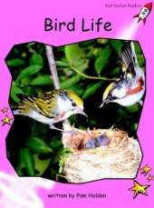 Red Rocket Readers: Pre-Reading Non-Fiction Set B: Bird Life (Reading Level 1/F&P Level B)