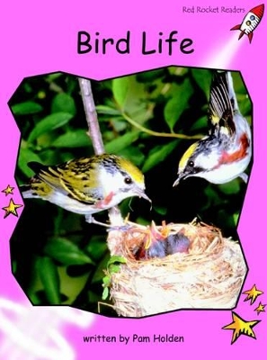 Red Rocket Readers: Pre-Reading Non-Fiction Set B: Bird Life (Reading Level 1/F&P Level B)