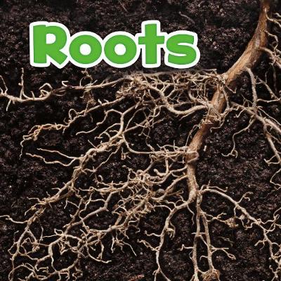 Roots