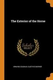 The Exterior of the Horse