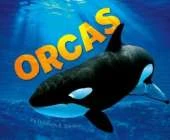 Sea Life Pack B of 4