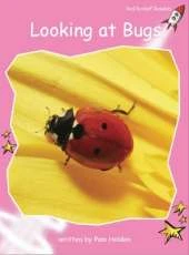 Red Rocket Readers: Pre-Reading Non-Fiction Set B: Looking at Bugs
