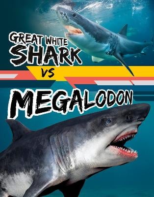 Great White Shark vs Megalodon
