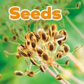 Seeds