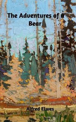 The Adventures of a Bear