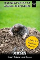 Moles: Expert Underground Diggers