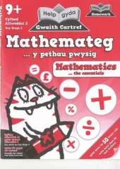 Mathemateg .. y Pethau Pwysig
