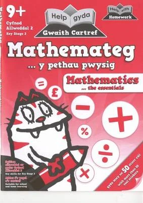 Mathemateg .. y Pethau Pwysig