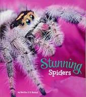 Stunning Spiders