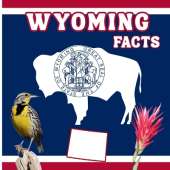 Wyoming Facts: A Fun and Simple State Facts Book for Kids