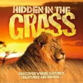 Hidden in the Grass