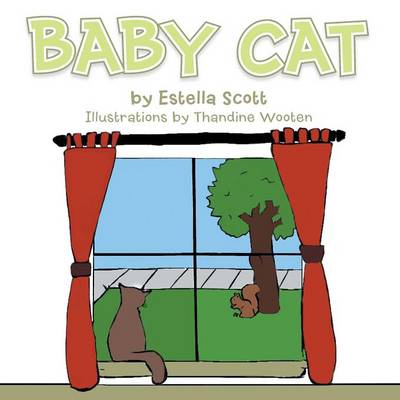 Baby Cat