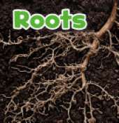 Roots