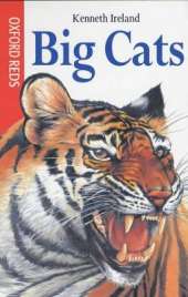 Big Cats
