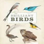 Brilliant Birds