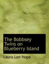 The Bobbsey Twins on Blueberry Island
