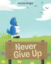 Never Give Up