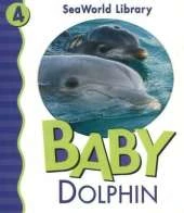 Baby Dolphin