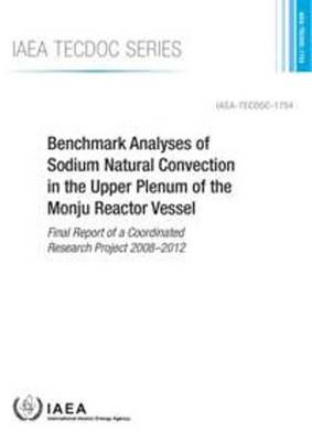 Benchmark analyses of sodium natural convection in the upper plenum of the Monju Reactor Vessel: final report of a coordinated research project 2008-2012
