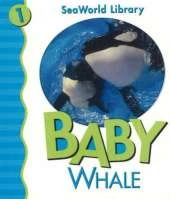 Baby Whale