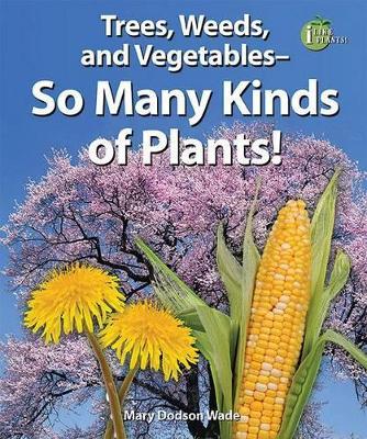 Trees, Weeds, and Vegetables-so Many Kinds of Plants!