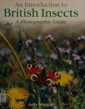 An Introduction to: British Insects: A Photographic Guide