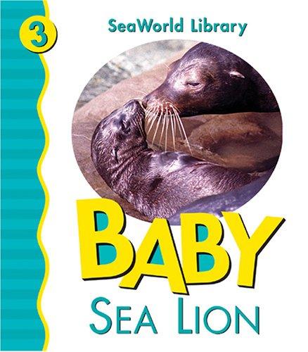 Baby Sea Lion