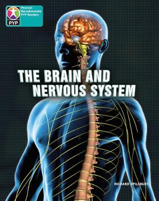 PYP L10 Brain and nervous system 6PK