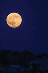Full Moon 4x6" Field Journal / Field Notebook / Field Book / Memo Book / Pocket Notebook (100 pages/50 sheets)