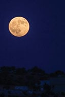 Full Moon 4x6" Field Journal / Field Notebook / Field Book / Memo Book / Pocket Notebook (100 pages/50 sheets)