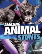 Wild Stunts Pack A of 3