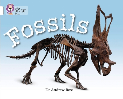 Fossils: Band 10/White