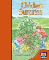 Chicken Surprise