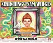 Searching with Sam Widges