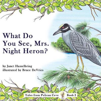 What Do You See, Mrs. Night Heron?