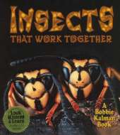 Insects That Work Together