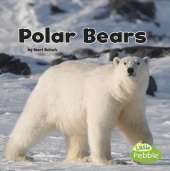 Black and White Animals Polar Bears