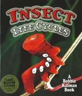 Insect Life Cycles
