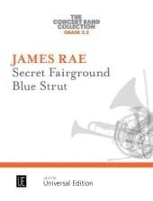 Secret Fairground/Blue Strut: Grade 2.5
