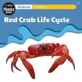 Science: Growing - Red Crab Life Cycle