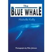 The Blue Whale