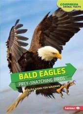 Bald Eagles: Prey Snatching Birds